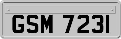 GSM7231