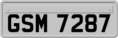 GSM7287