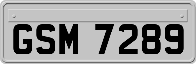 GSM7289