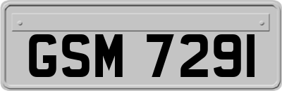 GSM7291