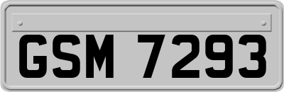 GSM7293