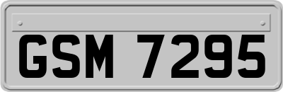 GSM7295