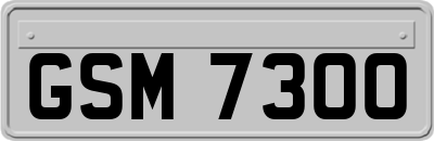 GSM7300