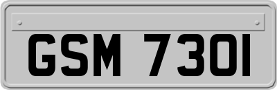 GSM7301