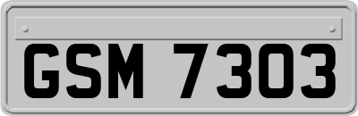 GSM7303