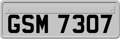GSM7307