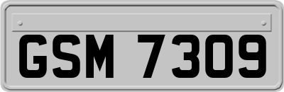 GSM7309