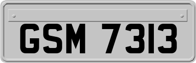 GSM7313