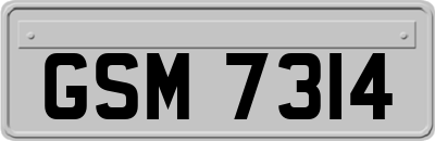 GSM7314