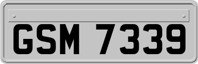 GSM7339