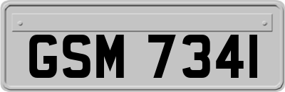 GSM7341