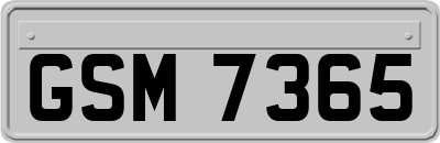 GSM7365