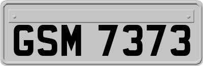 GSM7373