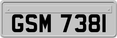 GSM7381
