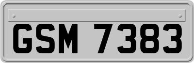 GSM7383