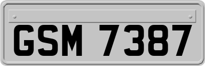 GSM7387