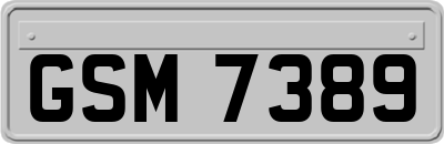 GSM7389
