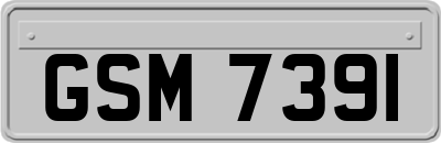GSM7391