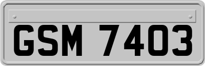GSM7403