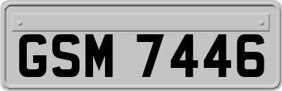 GSM7446