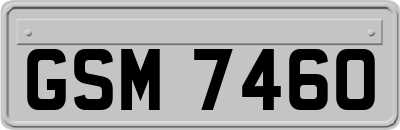 GSM7460