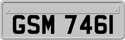 GSM7461