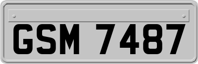 GSM7487