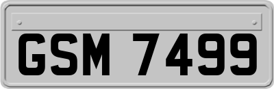 GSM7499