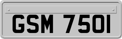 GSM7501