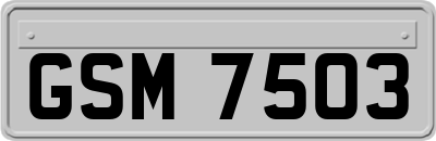 GSM7503