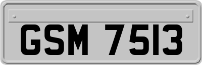 GSM7513