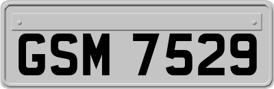 GSM7529