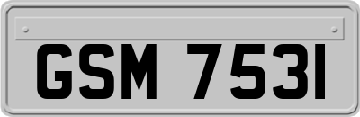 GSM7531