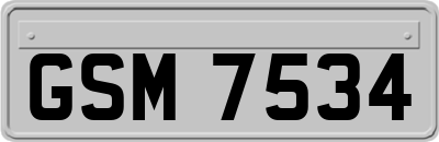 GSM7534