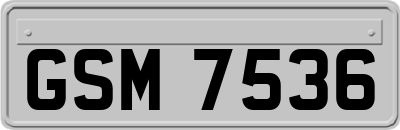 GSM7536
