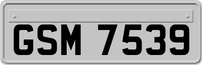 GSM7539