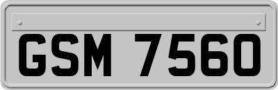 GSM7560