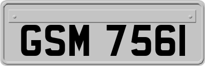 GSM7561