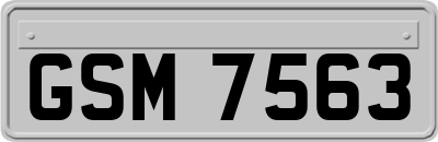 GSM7563