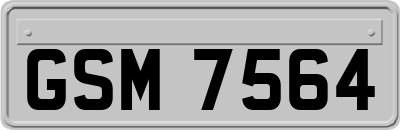 GSM7564