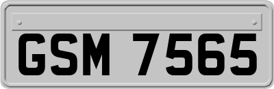 GSM7565
