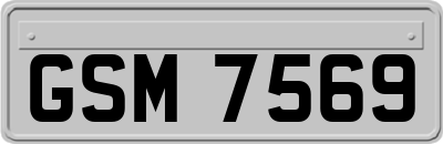 GSM7569