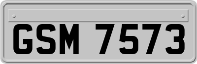 GSM7573