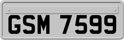 GSM7599