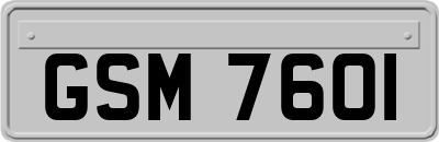 GSM7601