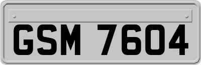 GSM7604