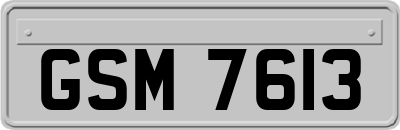 GSM7613