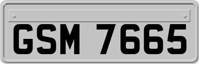 GSM7665
