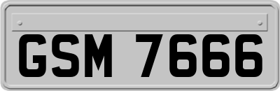 GSM7666