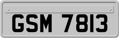 GSM7813